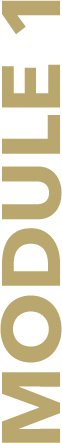 course-module-1@2x