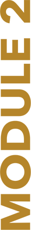 course-module-2@2x