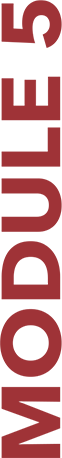 course-module-5@2x
