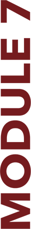 course-module-7@2x