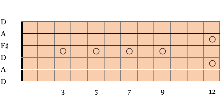 Guitar neck in open D tuning